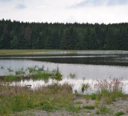 Úprava vodního režimu přírodní rezervace Pavlovské mokřady (1)