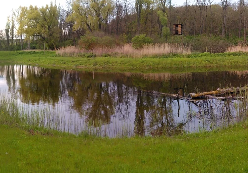 IMG_20160427_183505_stitch