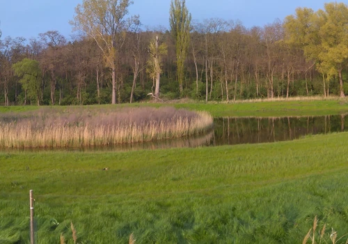 IMG_20160427_184149_stitch