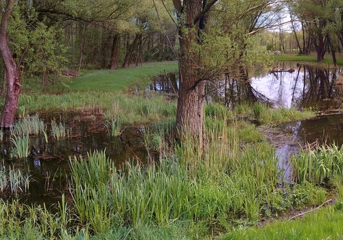 IMG_20160427_185630_stitch