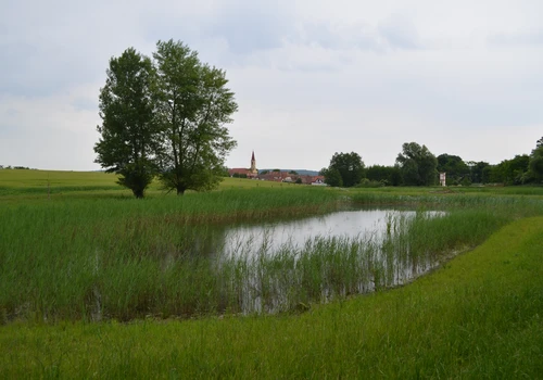 Mokřadní prvky v k ú Petrovice u Mor Krumlova (1)