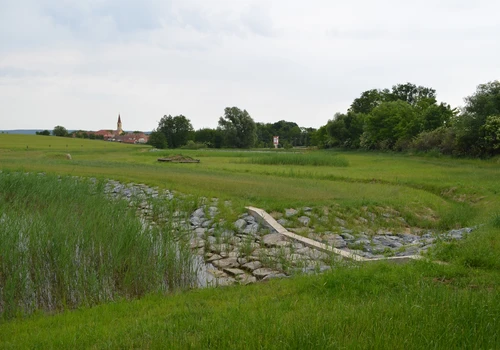 Mokřadní prvky v k ú Petrovice u Mor Krumlova (2)