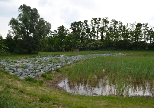 Mokřadní prvky v k ú Petrovice u Mor Krumlova (3)