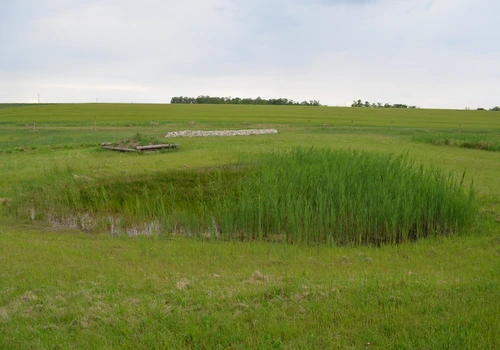 Mokřadní prvky v k ú Petrovice u Mor Krumlova (5)