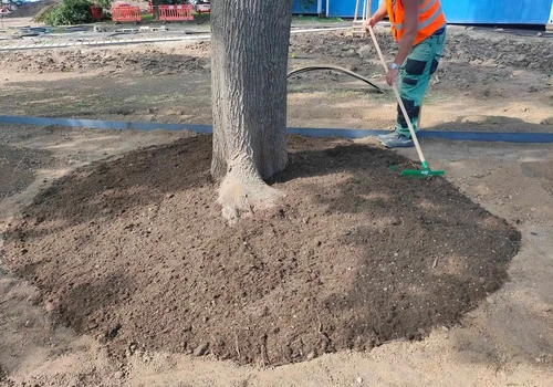 Park na Moravském náměstí