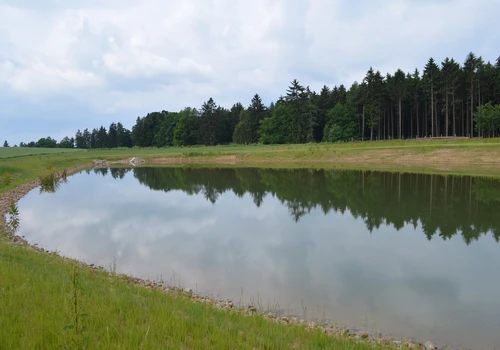 Realizace lokálního biocentra LBC4 (2)