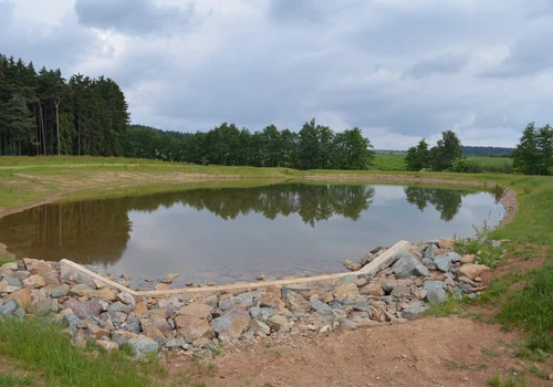 Realizace lokálního biocentra LBC4 (3)