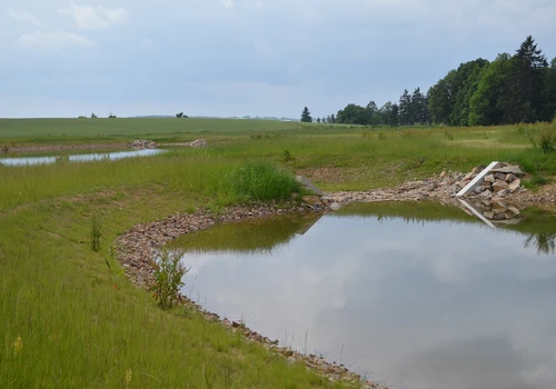 Realizace lokálního biocentra LBC4 (4)