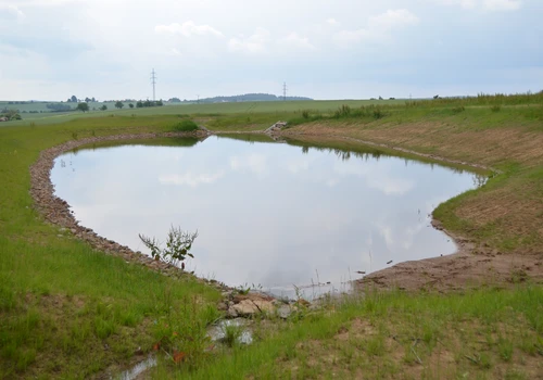 Realizace lokálního biocentra LBC4 (5)