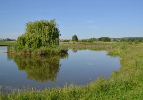 Retenční nádrž Kočičák v k ú Mohelno (1)