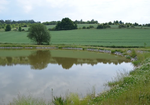 Revitalizace nivy Biskupického potoka (1)