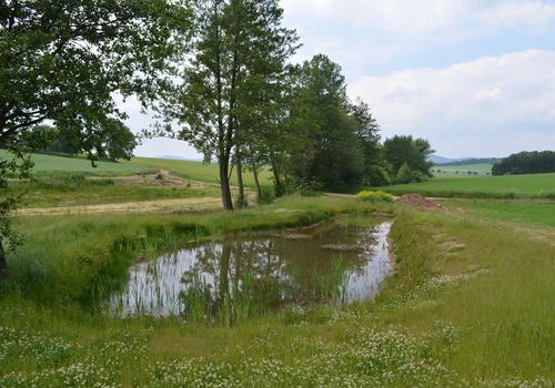 Revitalizace nivy Biskupického potoka (2)
