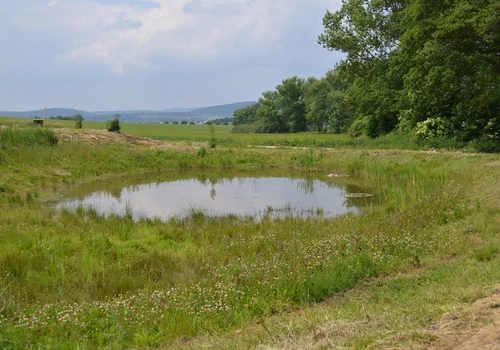 Revitalizace nivy Biskupického potoka (3)