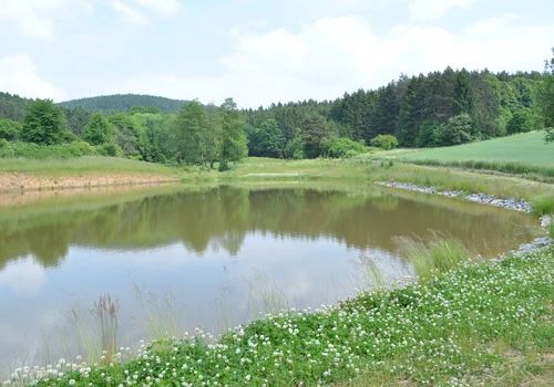 Revitalizace nivy Biskupického potoka (4)
