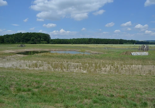 Uherčice - Tůně u Ruky (1)