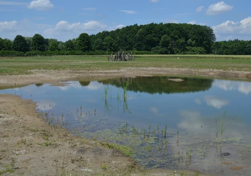 Uherčice - Tůně u Ruky (2)