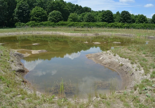 Uherčice - Tůně u Ruky (3)
