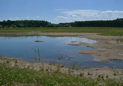 Uherčice - Tůně u Ruky (4)