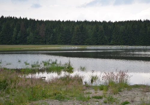 Úprava vodního režimu přírodní rezervace Pavlovské mokřady (1)