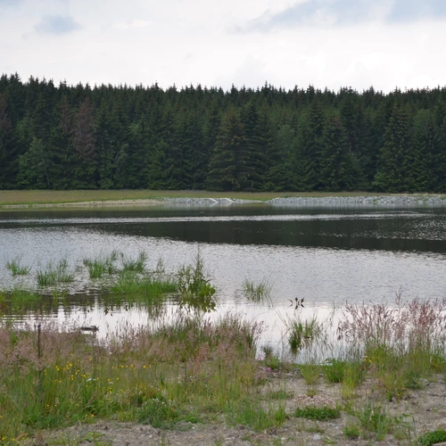 Úprava vodního režimu přírodní rezervace Pavlovské mokřady (1)