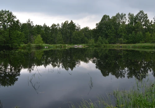Úprava vodního režimu přírodní rezervace Pavlovské mokřady (2)