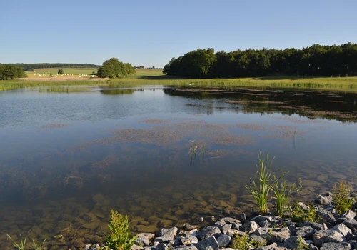 Vodní nádrž nad Chobotem (4)