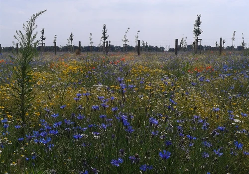 ZKUSIT OŘÍZNOUT NA VELKOU